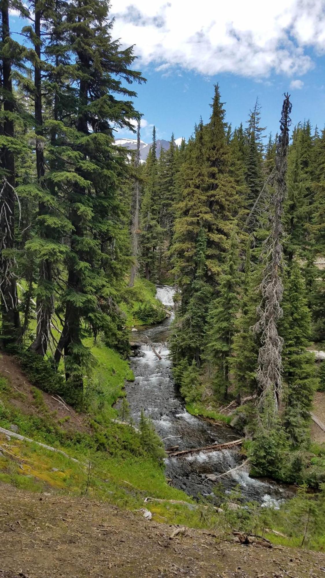 Mt. Bachelor & Sun River Get Away Bend Ngoại thất bức ảnh